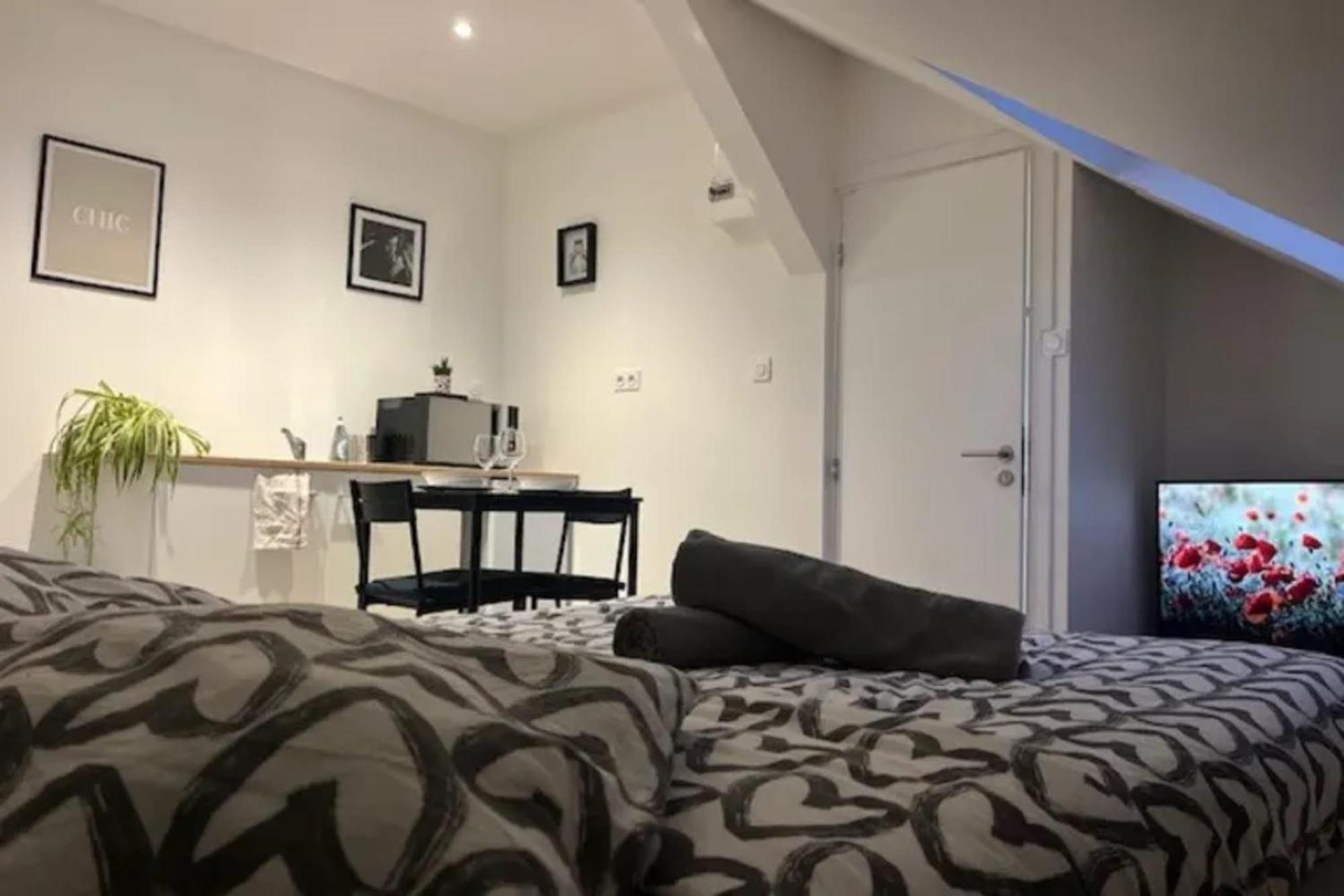 Cosy Rent Studio 4 Tv-wifi Proche Gare Vakantiehuis Straatsburg